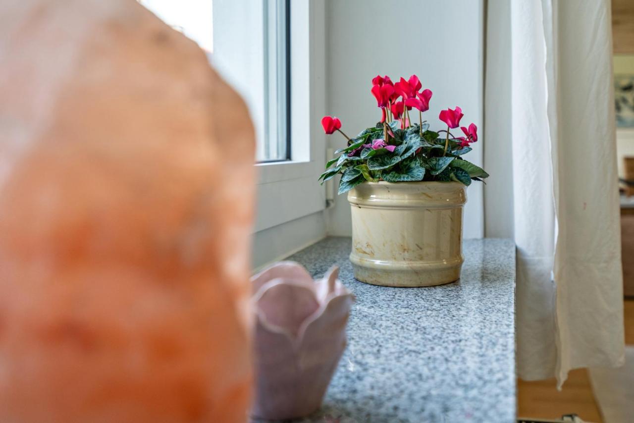 Appartment Piano 欧波哈赫英 外观 照片